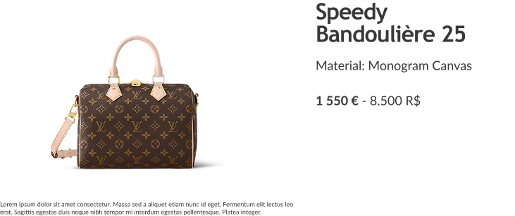 Bolsa de Luxo Louis Vuitton